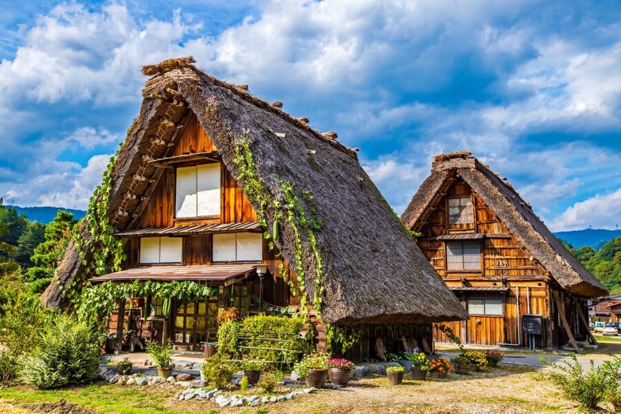 From Nagoya: Hida Takayama & Shirakawa-go Tour w/Opt. Lunch - Who should book this experience