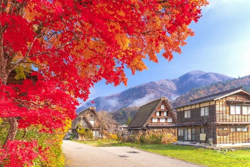 From Nagoya: Shirakawa-go & Hida-Takayama Full Day Trip - Hida-Takayama in 2.5 hours