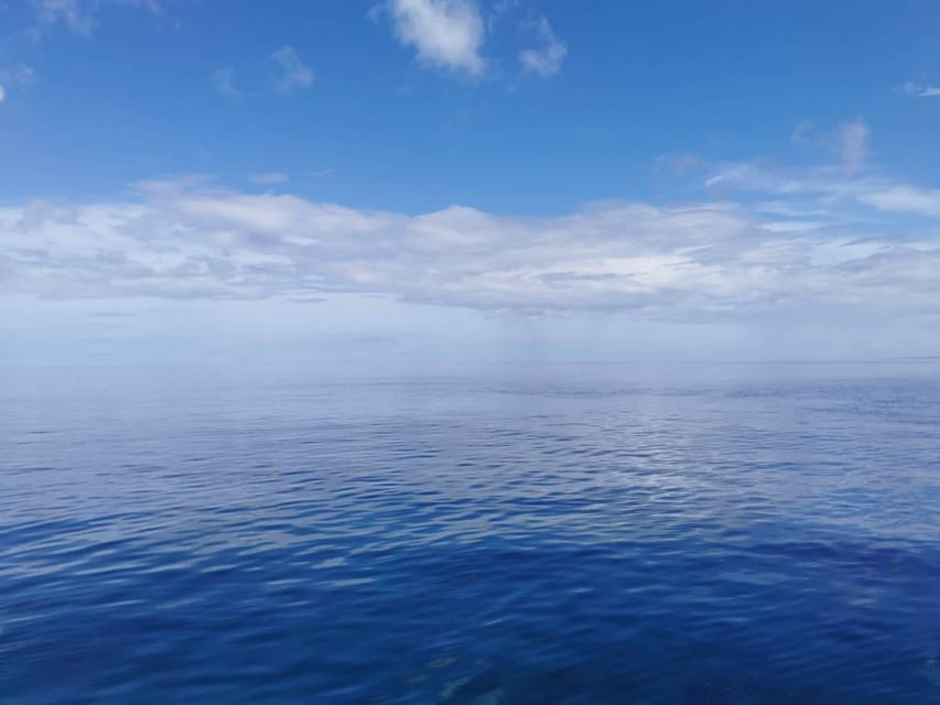 From Naha Scuba Diving Trip in Kerama(for certified divers) - What the $206 price really covers