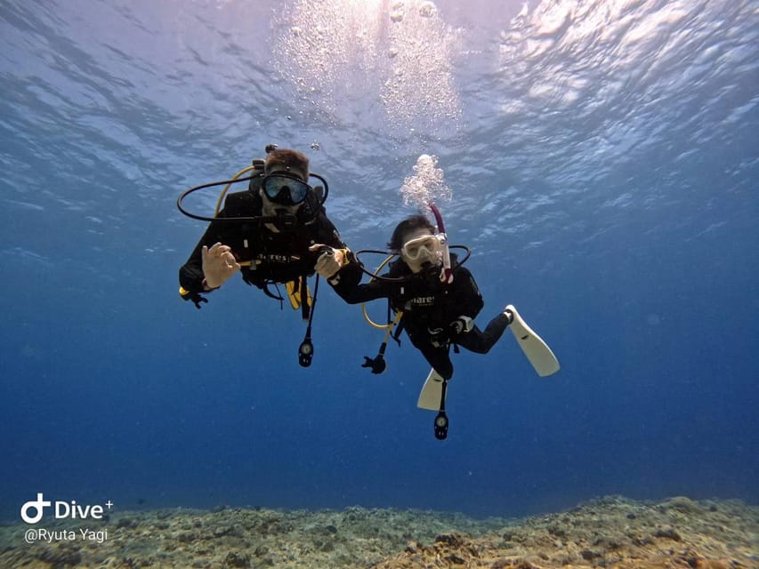 From Naha Scuba Diving Trip in Kerama(for certified divers) - The first two-hour session in Kerama National Park