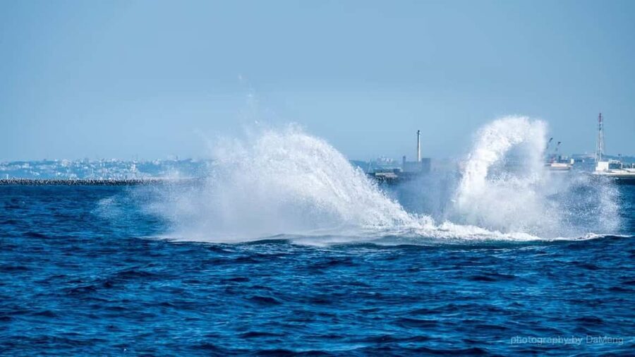 From Naha: Whale Watching with Pickup and English Guide - Meeting the crew at Miegusuku Port