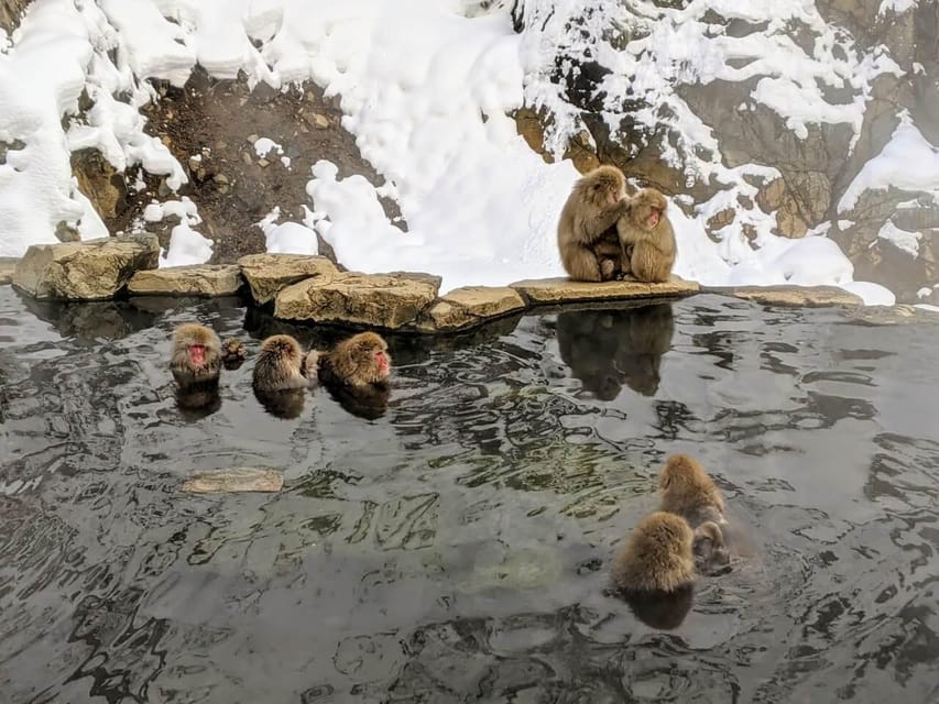 From Nozawa Onsen: Snow Monkeys and Zenko-ji Day Trip & Sake - Zenko-ji, Nagano’s spiritual center