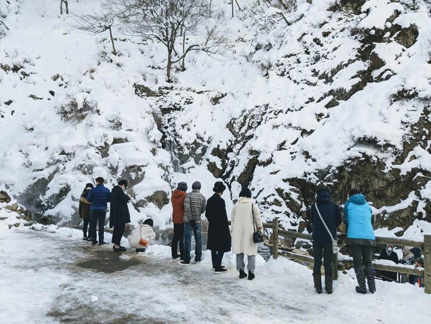 From Nozawa Onsen: Snow Monkeys and Zenko-ji Day Trip & Sake - Should you book it?