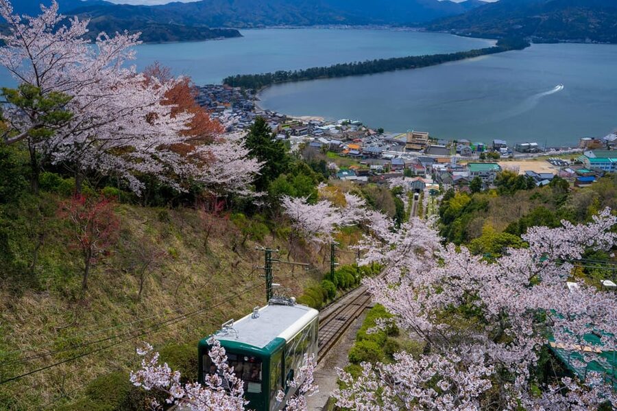 From Osaka: Amanohashidate and Ine Bay Day Trip - Who should book this tour
