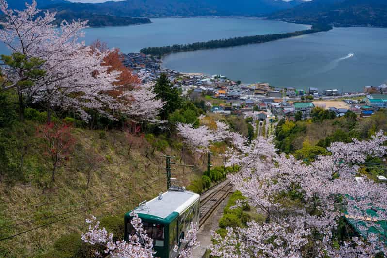 From Osaka: Amanohashidate and Ine Bay Day Trip - Why this northern Kyoto day trip works