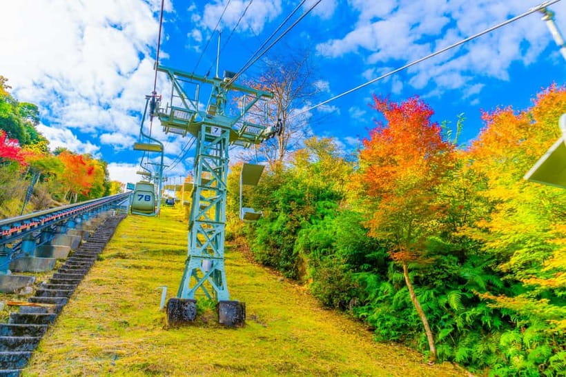 From Osaka: Amanohashidate and Ine Bay Day Trip - Two hours to eat and explore