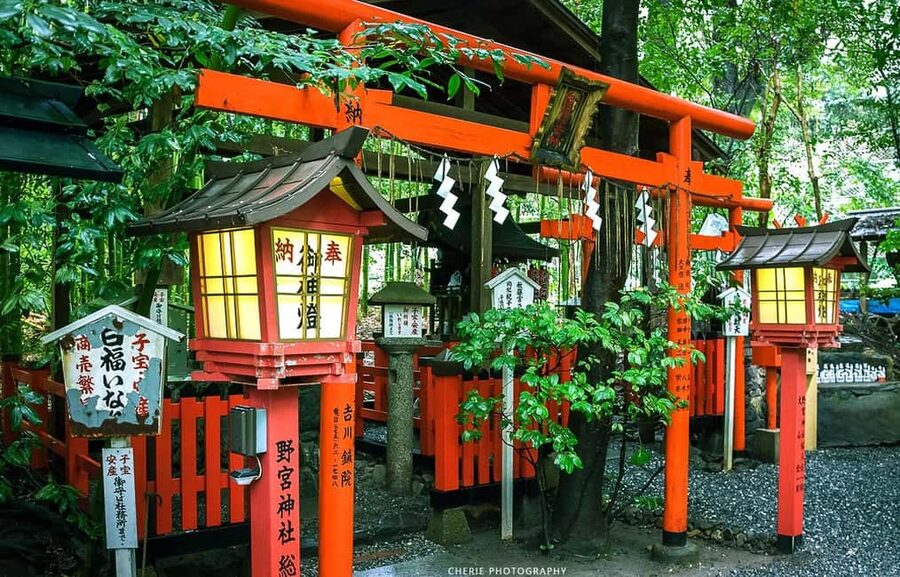 From Osaka: Kyoto, Nara, Fushimi Inari & Arashiyama Day Tour - Three famous stops, one very full day