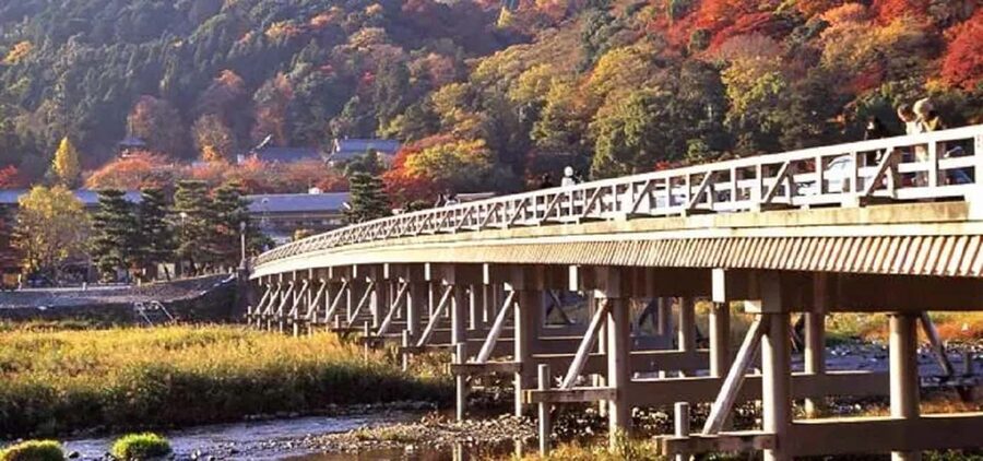 From Osaka: Kyoto, Nara, Fushimi Inari & Arashiyama Day Tour - Arashiyama, bamboo, and free time