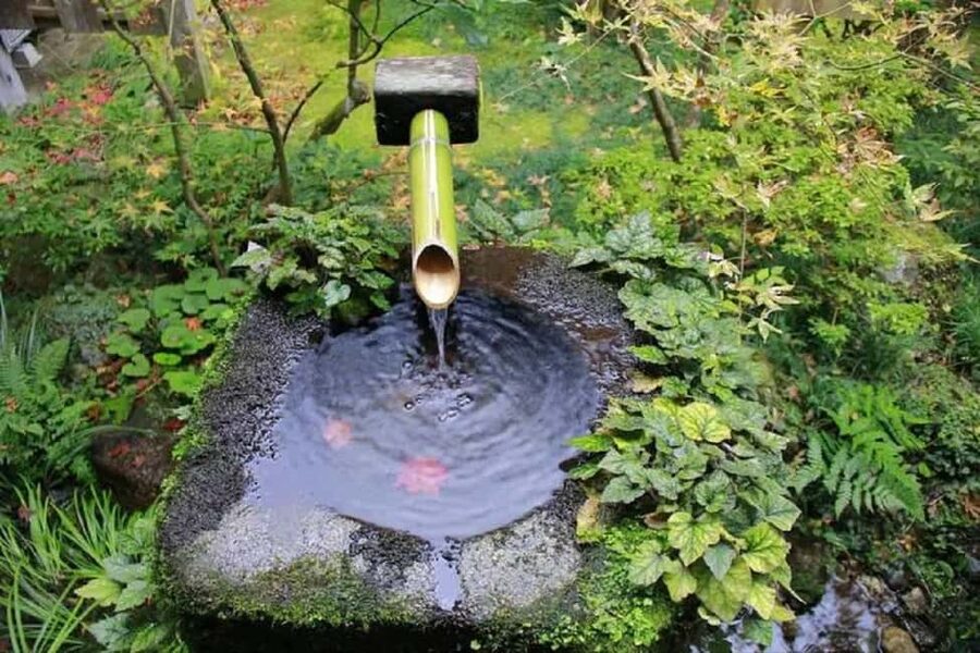 From Osaka: Kyoto, Nara, Fushimi Inari & Arashiyama Day Tour - Footbath and Kimono Forest