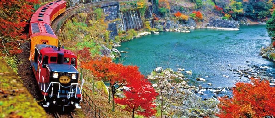 From Osaka: Kyoto, Nara, Fushimi Inari & Arashiyama Day Tour - What to bring and who will enjoy it