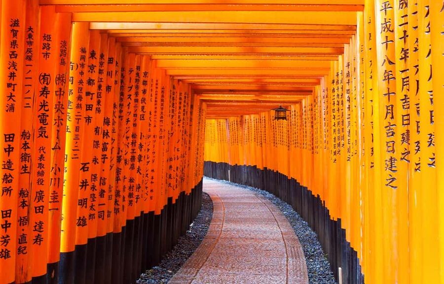 From Osaka: Kyoto, Nara, Fushimi Inari & Arashiyama Day Tour - Should you book this Osaka day tour?