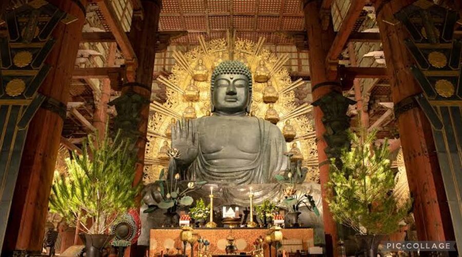 From Osaka/Kyoto: Private Kyoto & Nara Day Trip with Pickup - Arashiyama, lunch, and the Katsura River