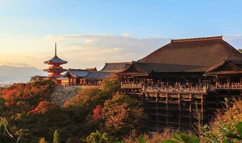 From Osaka: Nara Deer & Kyoto Kiyomizudera Sightseeing Tour - Meeting points, timing, and the return to Osaka