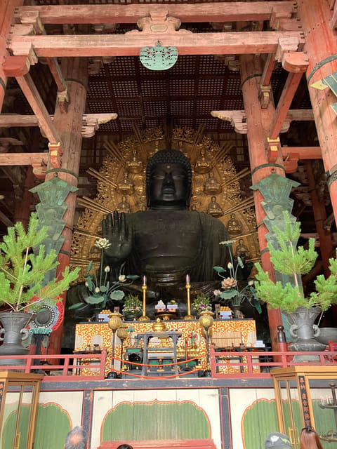 From Osaka: Nara Private Tour with Meet-Up at Your Hotel - Kofuku-ji and the pagoda