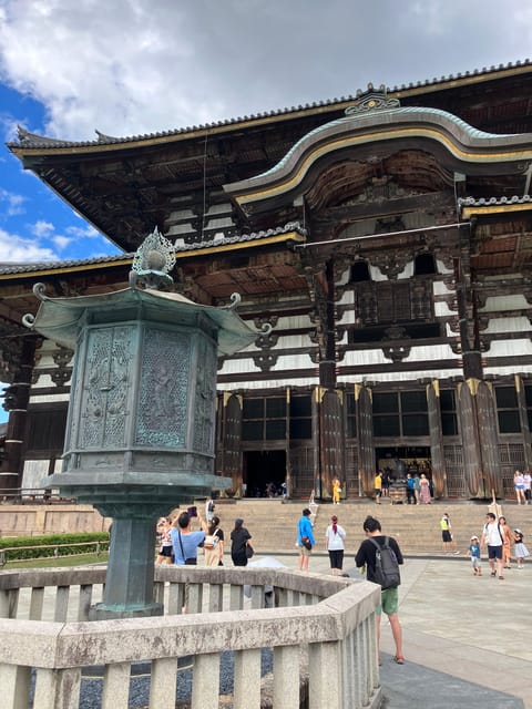 From Osaka: Nara Private Tour with Meet-Up at Your Hotel - What the private guide adds