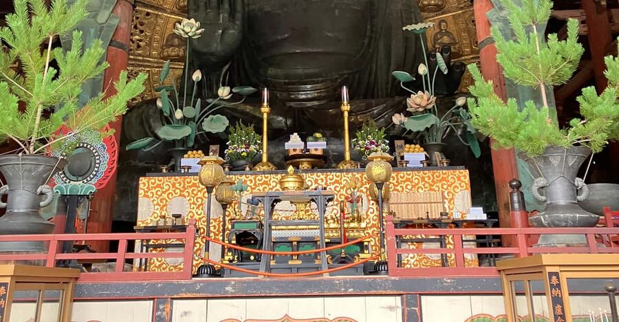 From Osaka: Nara Private Tour with Meet-Up at Your Hotel - Higashimuki Shopping Street: a practical first look at Nara