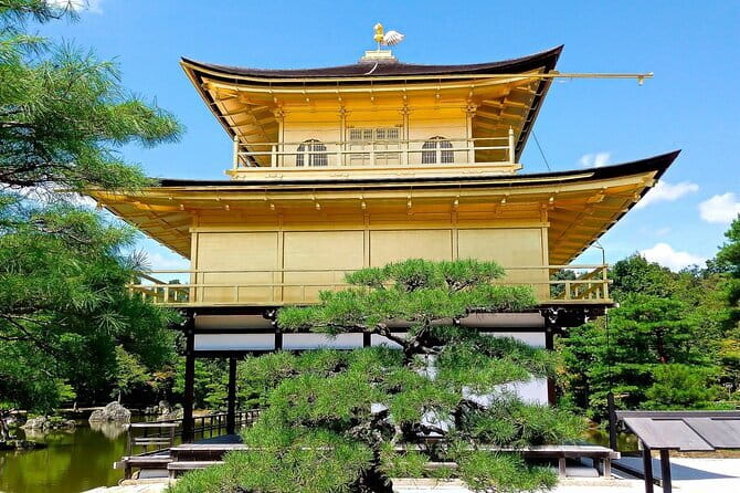 From Osaka or Kyoto: Kyoto and Nara 1-Day Bus Tour - Key things to know before booking