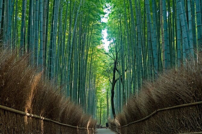 From Osaka or Kyoto: Kyoto and Nara 1-Day Bus Tour - Arashiyama Bamboo Grove: the stop that needs confirmation