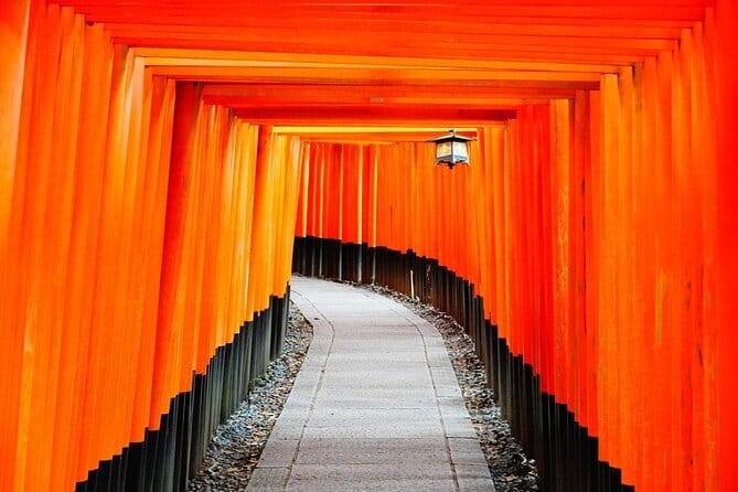 From Osaka or Kyoto: Kyoto and Nara 1-Day Bus Tour - Transport, walking, weather, and luggage