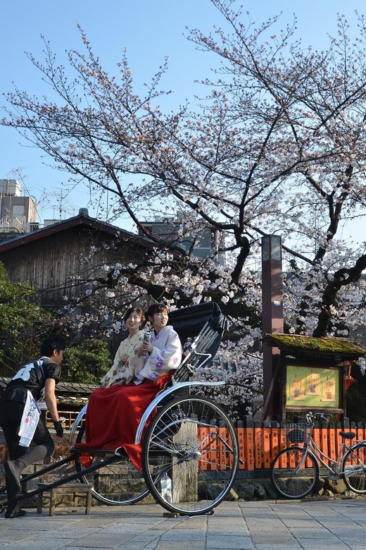 From Osaka: Private Customized Day Tour to Kyoto - Rain, crowds, and the pace of the day