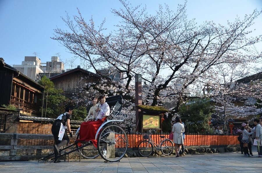 From Osaka: Private Customized Day Tour to Kyoto - Who will get the most from this experience?