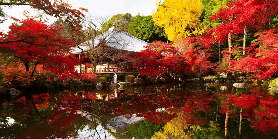 From Osaka: Private Customized Day Tour to Kyoto - Kiyomizu-dera and the walk through Ninenzaka