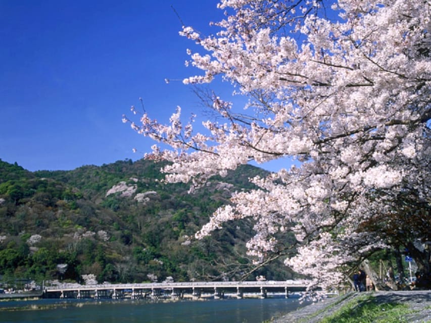 From Osaka: Sagano Train Ride and Kyoto Guided Day Tour - Arashiyama bamboo and the moon-crossing bridge