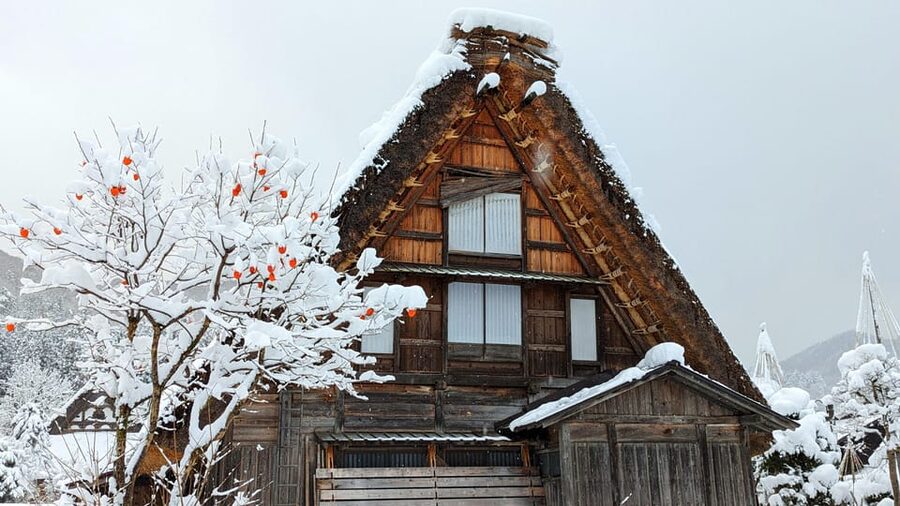 From Takayama: Guided Day Trip to Takayama and Shirakawa-go - Sanmachi’s wooden streets and Hida food