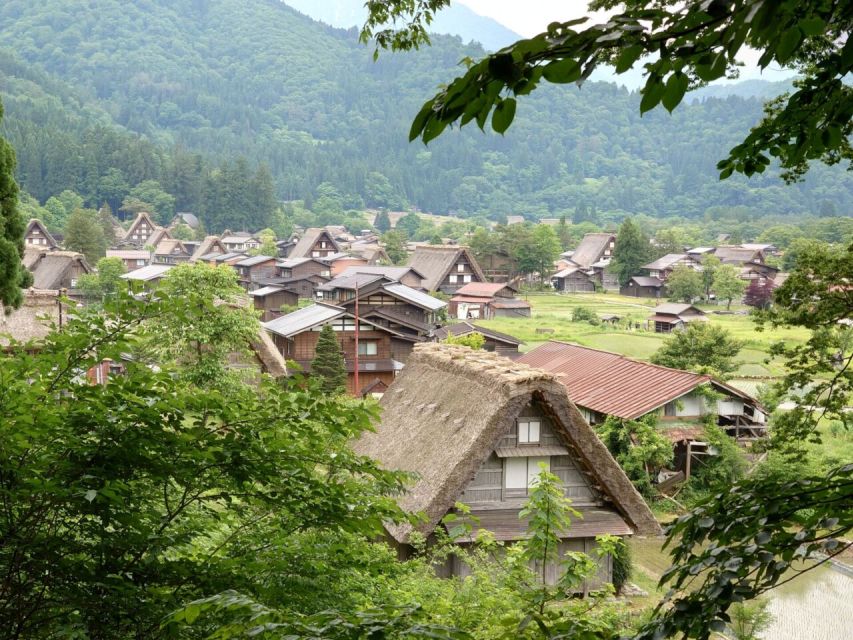 From Takayama: Guided Day Trip to Takayama and Shirakawa-go - Who should book it?