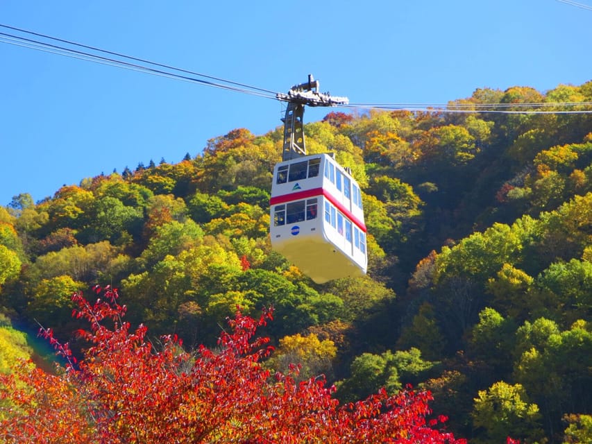 From Takayama: Shinhotaka Ropeway and Kamikochi tour - Key points at a glance