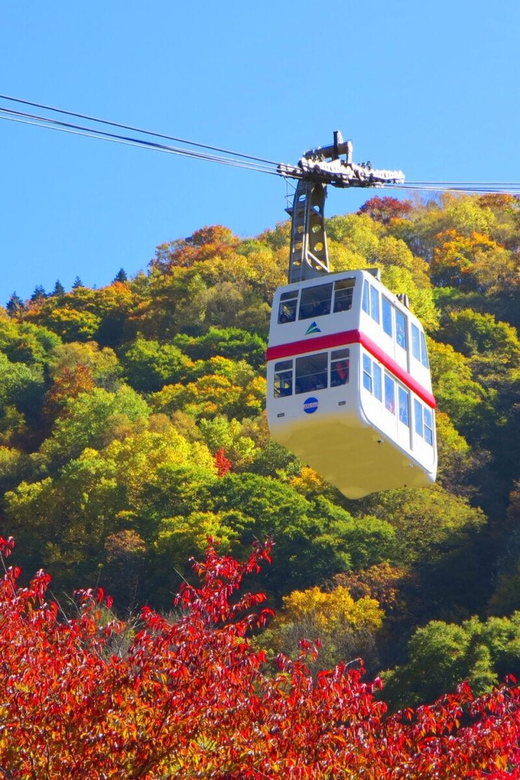 From Takayama: Shinhotaka Ropeway and Kamikochi tour - Kamikochi, from Taisho Pond to Kappa Bridge