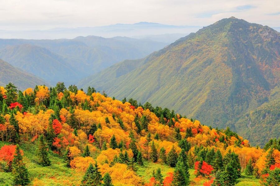 From Takayama: Shinhotaka Ropeway and Kamikochi tour - Is $211 a fair price?