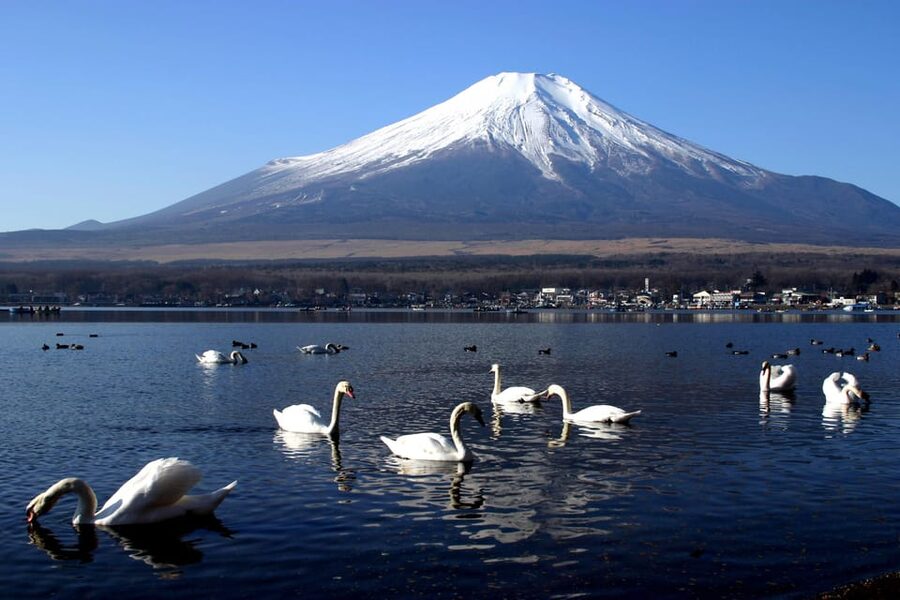 From Tokyo: Fuji Mountain Area - FujiQ - Lake Kawaguchiko - Chureito Pagoda - A private start from Tokyo