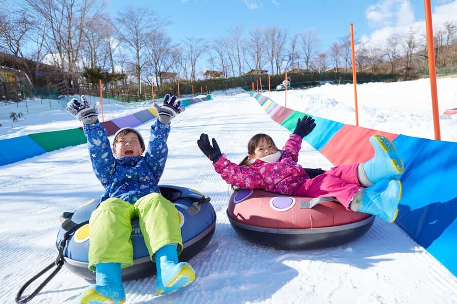 From Tokyo: Fujiyama Snow Resort Yeti Winter Ski Day Tour - Mt. Fuji photos and real weather limits