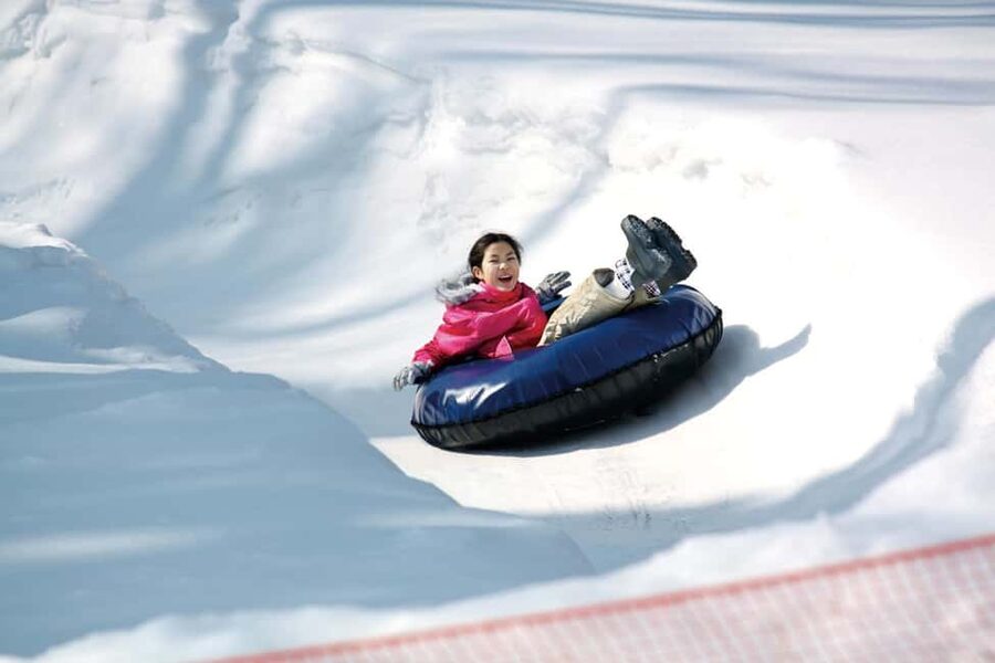 From Tokyo: Fujiyama Snow Resort Yeti Winter Ski Day Tour - Who should book this snow day?