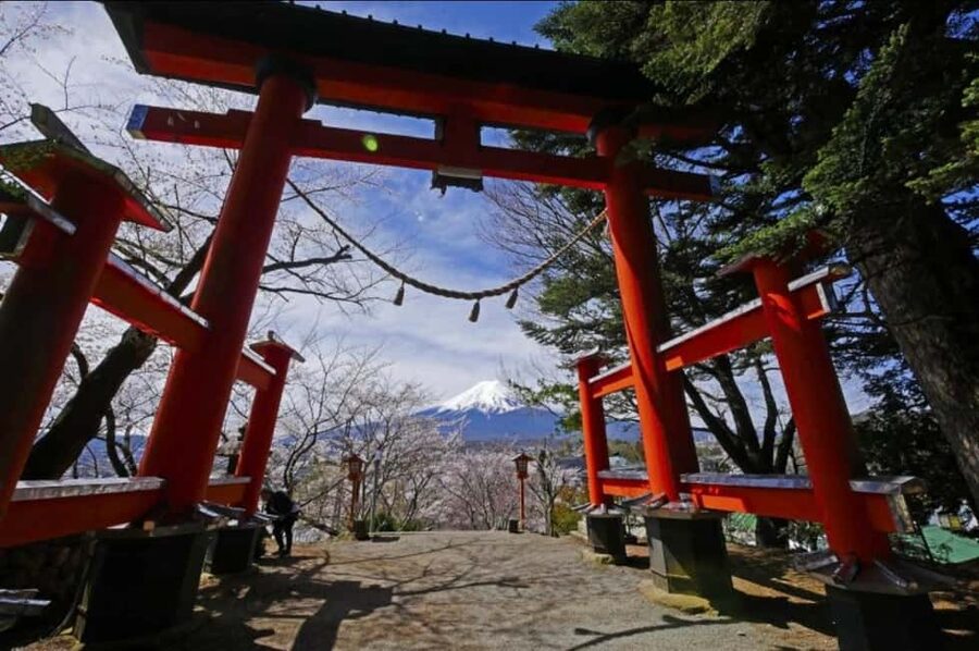 From Tokyo: Full-Day Mount Fuji Tour in English or Spanish - Why this Fuji day trip works