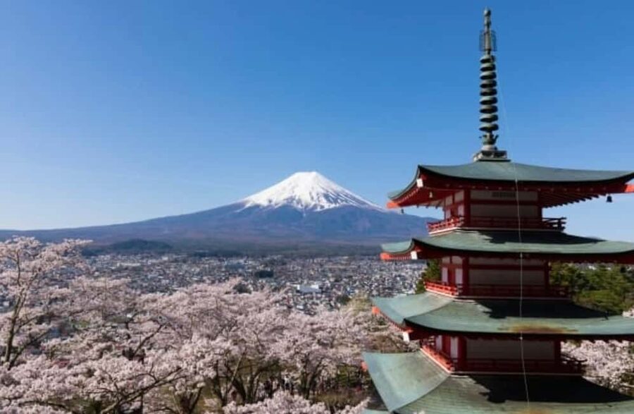 From Tokyo: Full-Day Mount Fuji Tour in English or Spanish - What the $90 price really covers