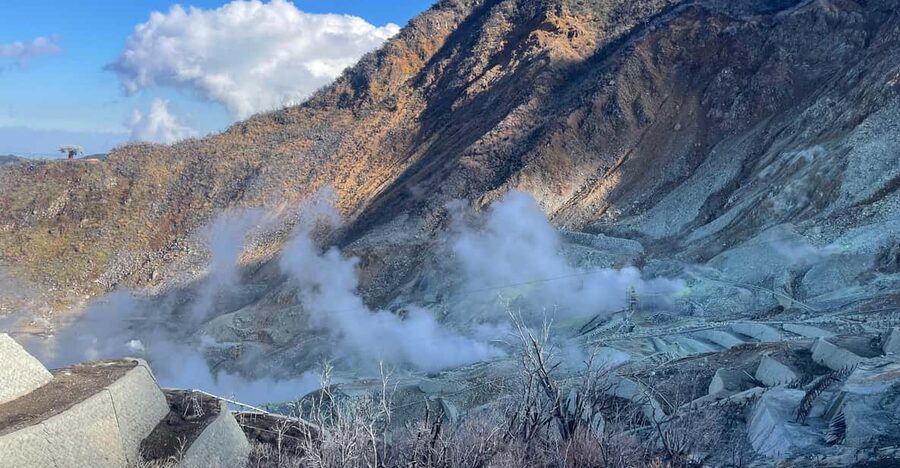 From Tokyo: Hakone Full Day Customizable Private Tour - Owakudani’s volcanic valley and the ropeway question