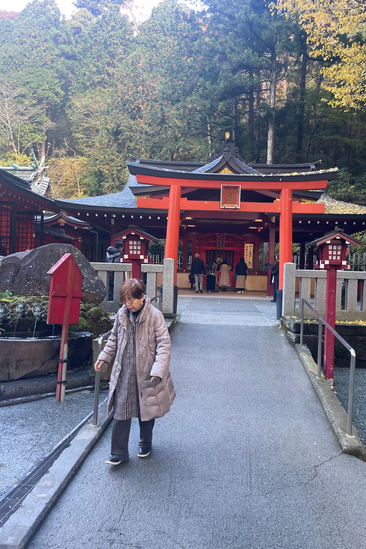 From Tokyo: Hakone Full Day Customizable Private Tour - What the drivers add to the day
