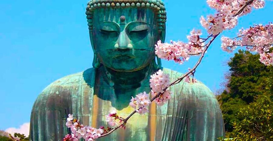 From Tokyo: Kamakura and Enoshima Full-Day Private Trip - Meeting the Great Buddha at Kotoku-in