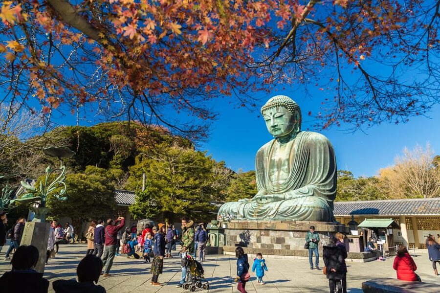 From Tokyo: Kamakura Full Day Tour with a Local Expert Guide - Meeting your guide in Tokyo or Kamakura