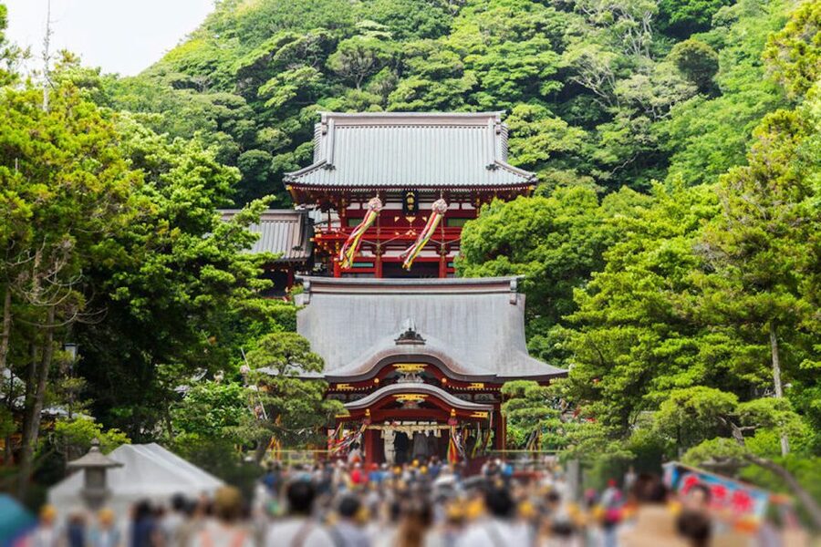 From Tokyo: Kamakura Private Customize Tour by Luxury Van - Enoshima, sea views, and a demanding half-day
