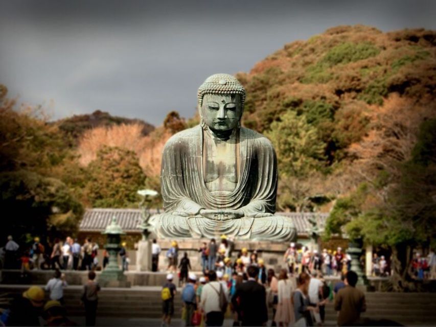 From Tokyo: Kamakura Private Customize Tour by Luxury Van - Kamakura’s Great Buddha at Kotoku-in