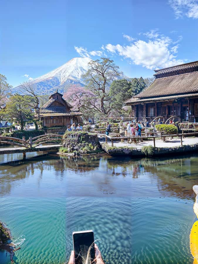From Tokyo: Mount Fuji and Hakone Private Day Trip - Key points at a glance