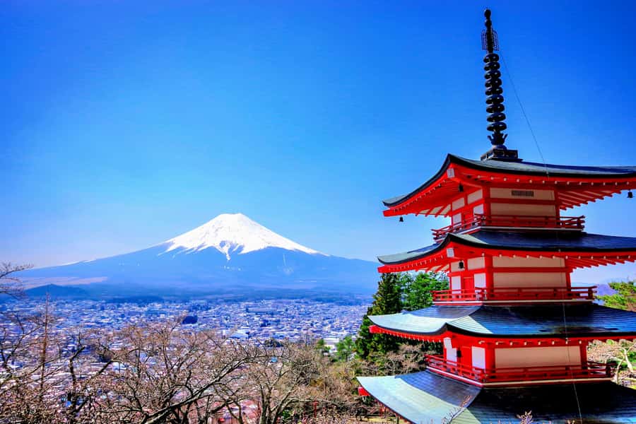 From Tokyo: Mount Fuji and Hakone Private Day Trip - Why this private Fuji and Hakone trip works