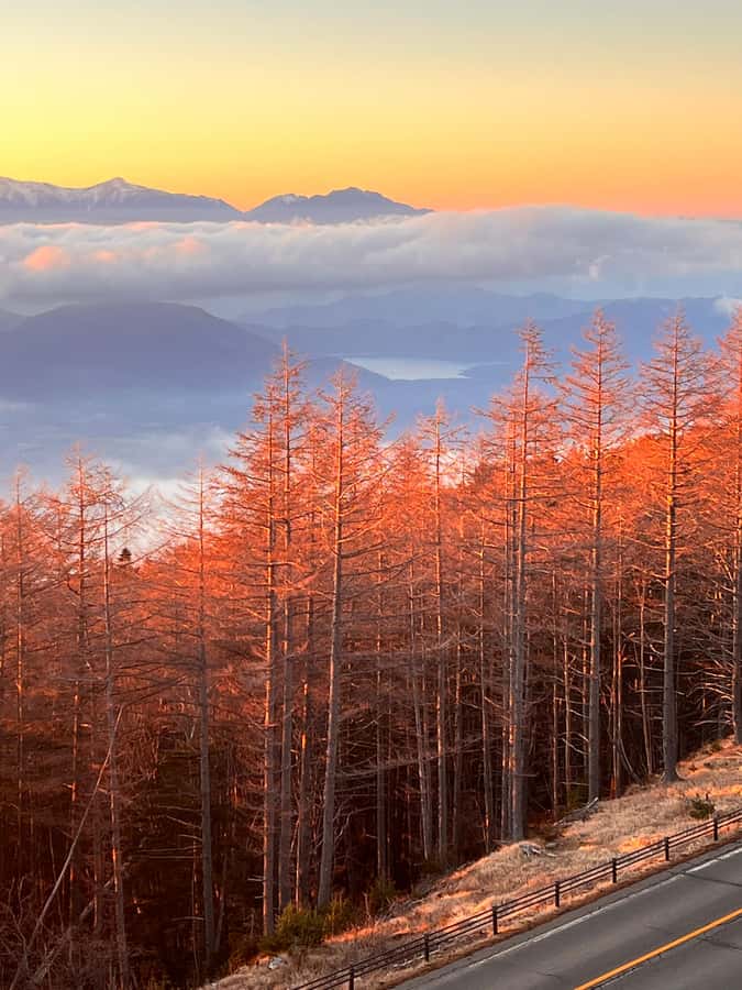 From Tokyo: Mount Fuji and Hakone Private Day Trip - Fuji Subaru 5th Station at 2,300 meters