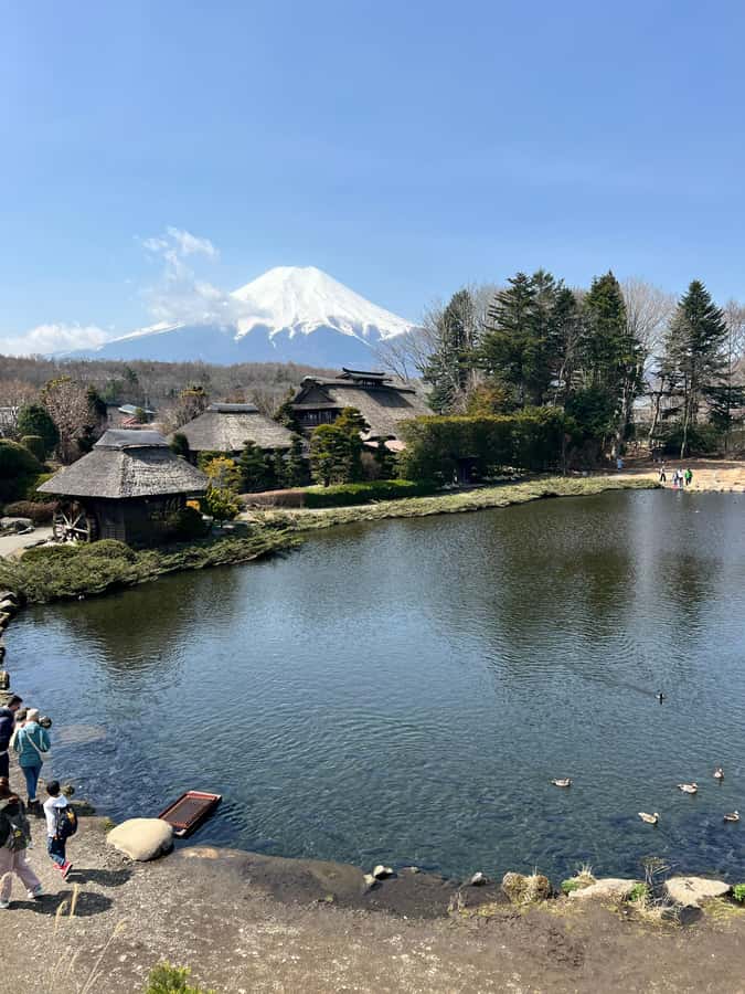 From Tokyo: Mount Fuji and Hakone Private Day Trip - Chureito Pagoda and the classic Fuji view