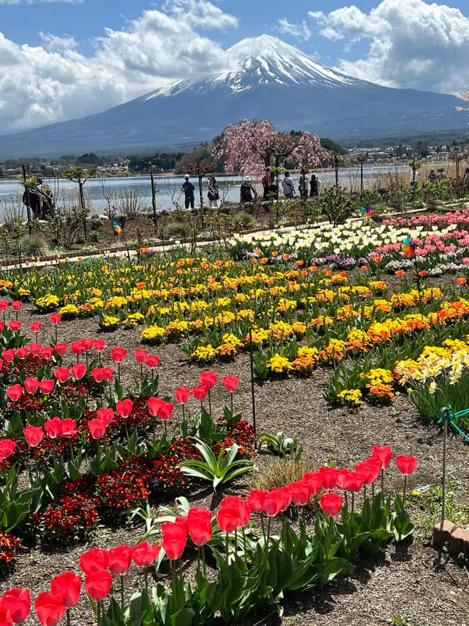 From Tokyo: Mount Fuji and Hakone Private Day Trip - Lake Ashi and the optional Pirate Cruise