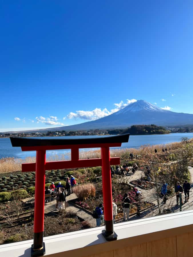 From Tokyo: Mount Fuji and Hakone Private Day Trip - Owakudani and Hakone’s volcanic side