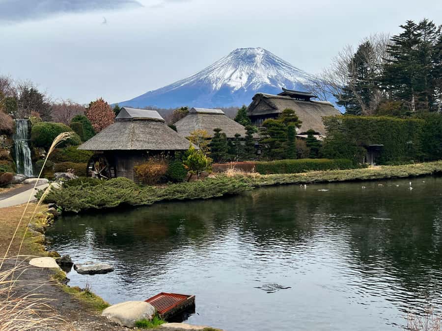 From Tokyo: Mount Fuji and Hakone Private Day Trip - Sharing the road with Mount Fuji